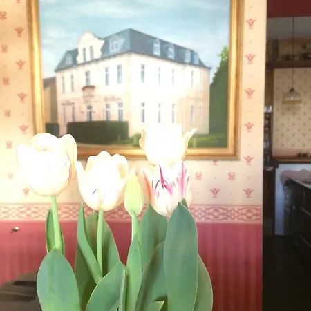 Gæstehus Alt-karow 3*